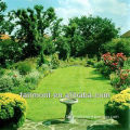 2013 New Hot Sale Backyard Landscaping Artificial Grass LK--001
